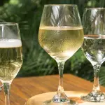 Vino blanco