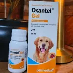 Oxantel gel