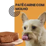 PATÊ CARNE COM MOLHO