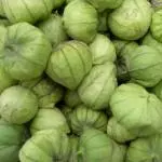 Tomate