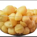 NUEZ DE MACADAMIA