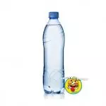 ÁGUA MINERAL 510ml