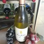 LOS GATOS - CHARDONNAY - CHILE 2015