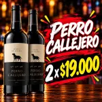 2 PERRO CALLEJERO