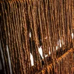 Beef Dry Wors