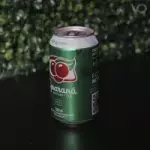 Guaraná Antarctica Zero Lata 350ml🥤