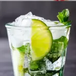 Wild-Mint Mojito