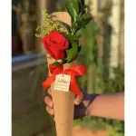 Cone Flora