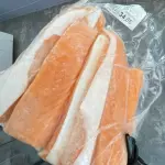 ISCA DE SALMÃO