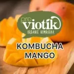 Kombucha Mango