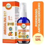 Amigdalina b17