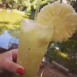 Abacaxi 🍍