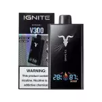 V300