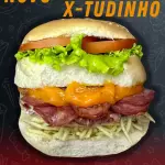 NOVO X-TUDINHO