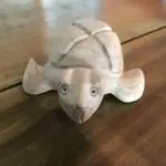 Tartaruga