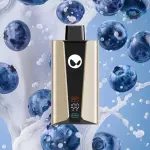 Blueberry Splash