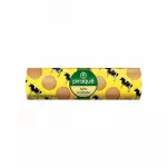 BISCOITO PIRAQUE MALTADO 160G