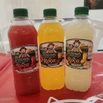 SUCO 500 ML NATURAL