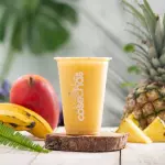 Tropical