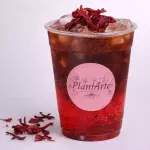 Jamaica Tonic