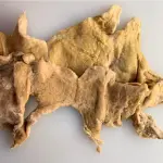 UBRE SALADA