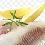 Rollizo
