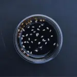 Salsa de Anguila