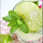 445 MOJITO.