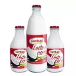 LEITE DE COCO