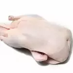 DUCK WHOLE  FROZEN  P/Kg - 2067