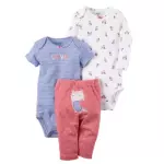 Conjunto Little Owl