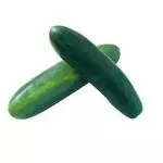 Pepino Comum