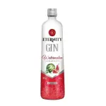 Gin eternity Melancia