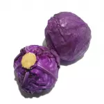 Repolho Roxo