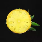 Fatia de Abacaxi