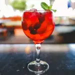 Gin Melancia