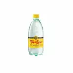 TOPO CHICO 600 ML