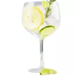Gin Tônica Terpenada