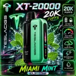 Tesla- Miami Mint 🧊🧊