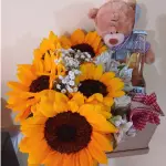 Box Girasol
