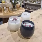 Vela MOON Colors