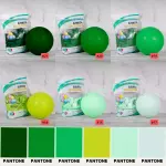 Globos 12 pulgadas R12