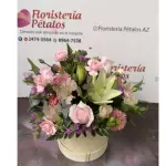 Producto 4210