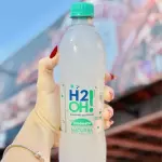 H2O Limoneto 500ml