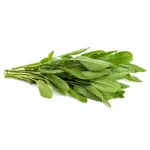 Sage Unit