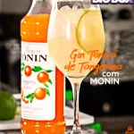 Gin Tangerina