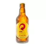 Skol 300ml | Vasilhame Incluso