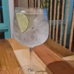 Gin Tônica