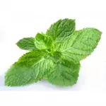 Mint unit