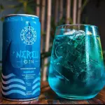 Nereu Gin 269 ML